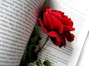 Rosas por San Valentín. Fuente: sxc:hu. Autor:ugaldew