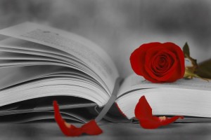 Sant Jordi, un libro y una rosa (Foto Generalitat)