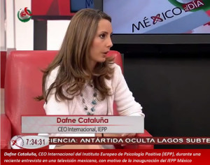 Dafne MX 01