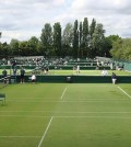 Wimbledon, pistas (Foto: RFET)