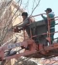 Trabajadores (Foto Ministerio Empleo)