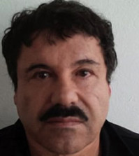 Chapo Guzmán