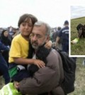 refugiado sirio